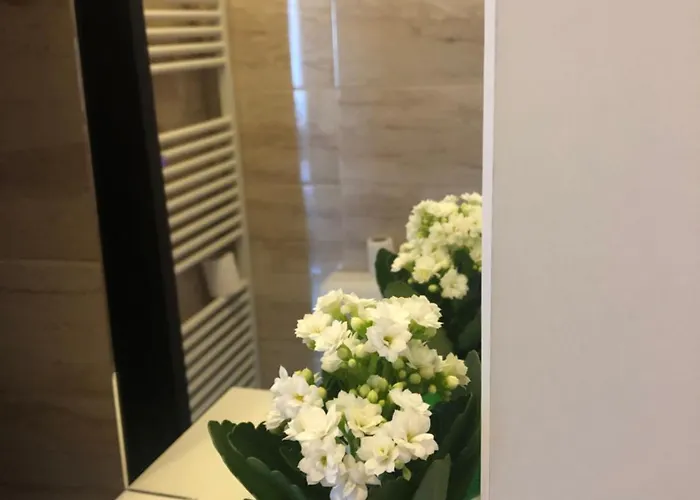 Jane House 부쿠레슈티